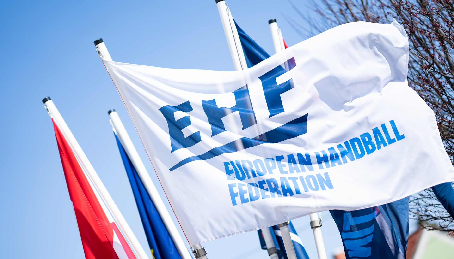images/ehf_flags.jpg