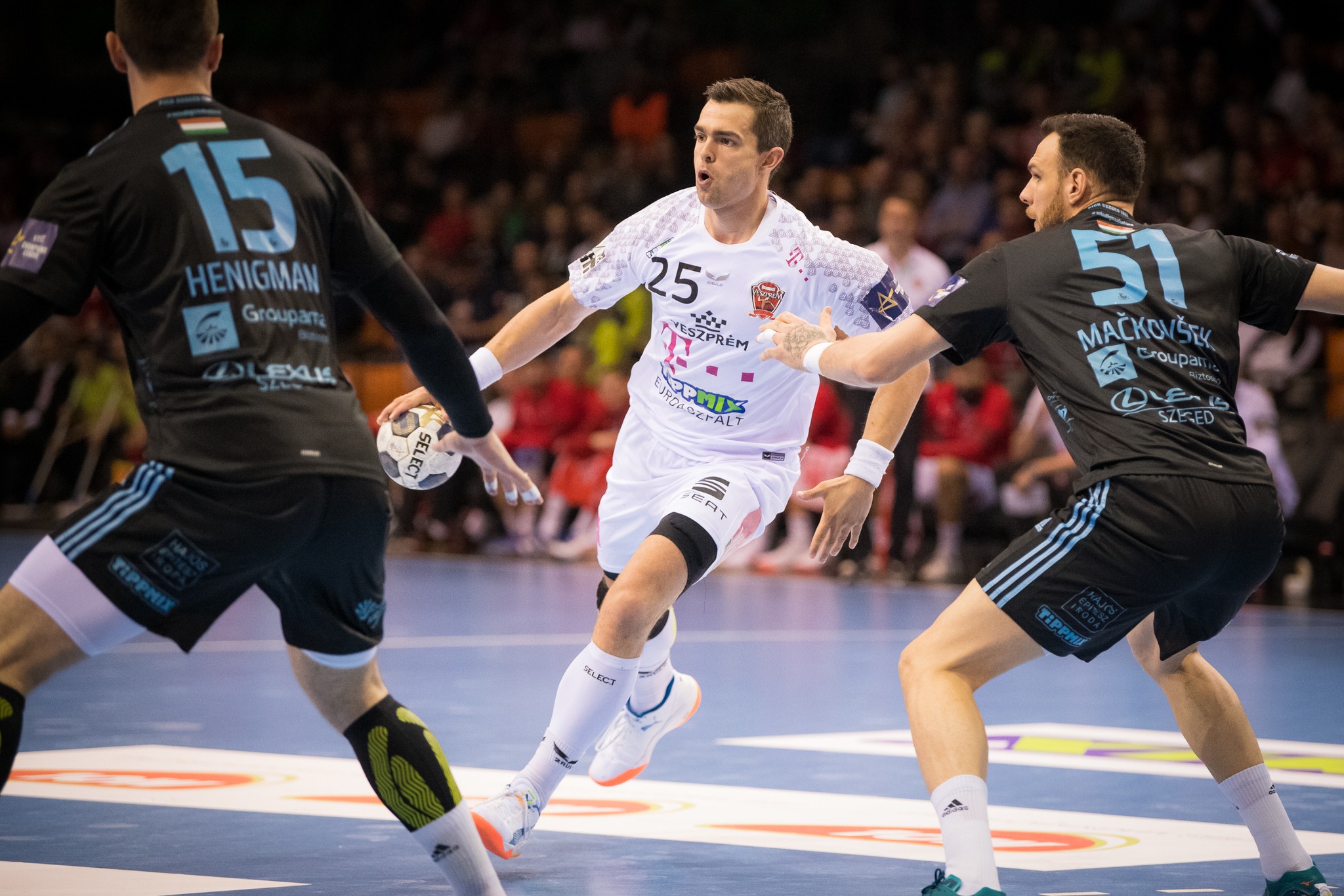 images/veszprem-handball.jpeg
